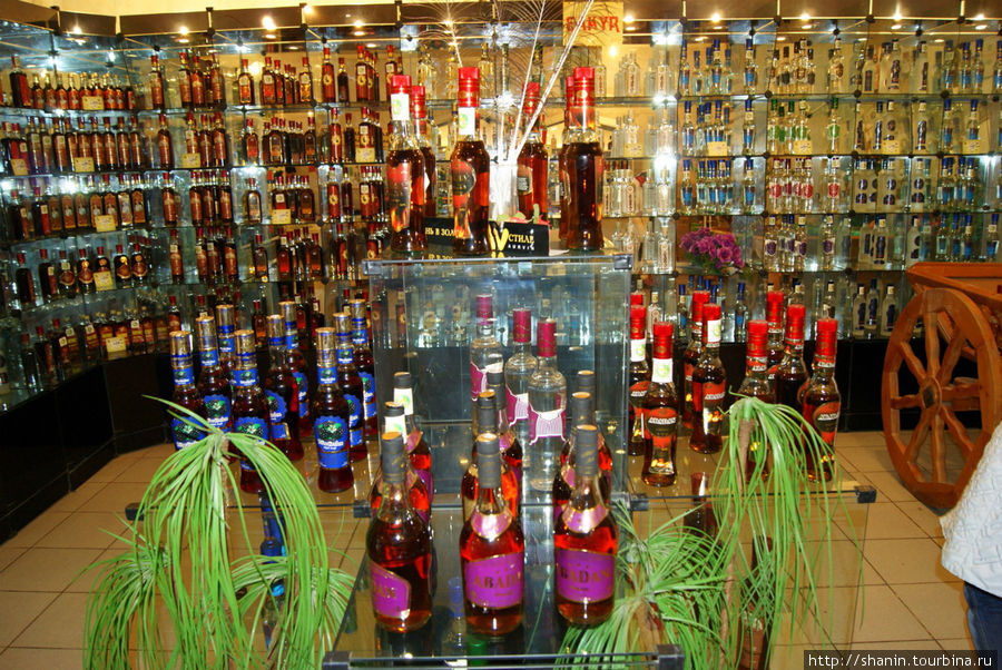 В фирменном магазине туркменских вин и коньяков Ашхабад, Туркмения