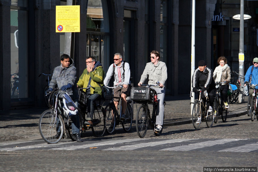 Двухколёсное счастье Амстердам, Нидерланды