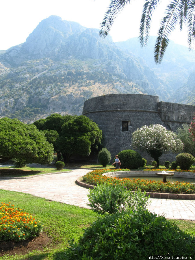 Парк у стен Старого Котора Область Котор, Черногория