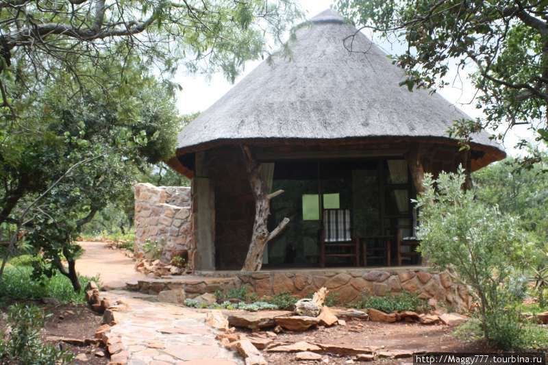 Наш ночлег в стиле  Rondavels — бунгало круглой формы. Iketla Lodge Национальный парк Крюгер, ЮАР