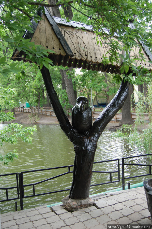 Ворон.Перед прудом ,где обычно плавают утки Саратов, Россия