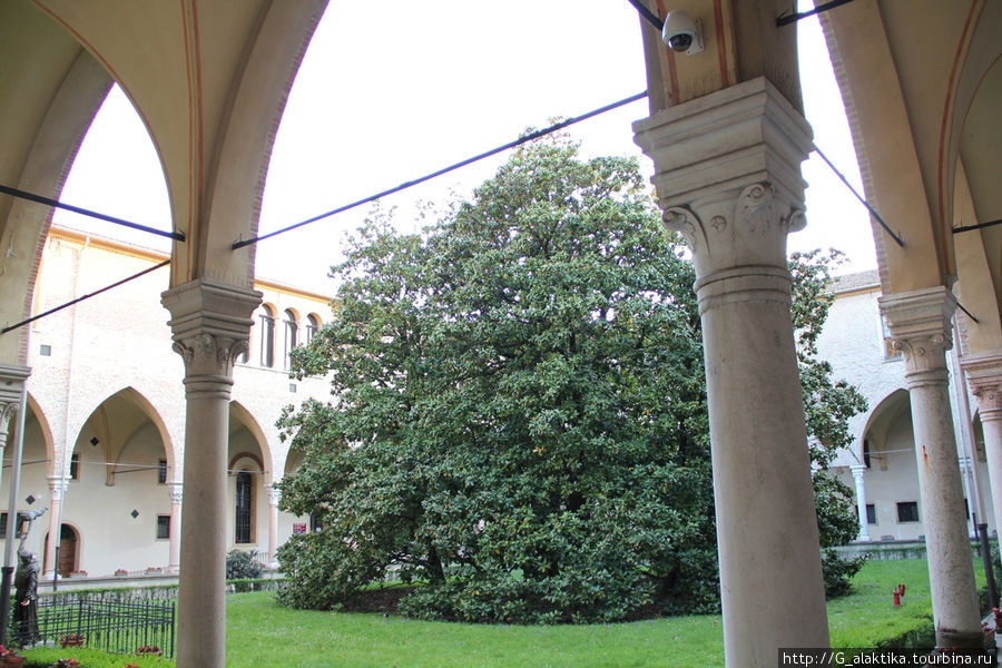 Падуя, базилика св. Антония, внутриние квадратные дворики очень красивы. Падуя, Италия