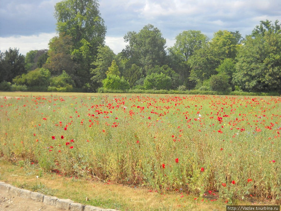Красное поле Сен-Жермен-ан-Ле, Франция