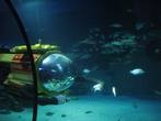 Подводное путешествие в Атлантиду
