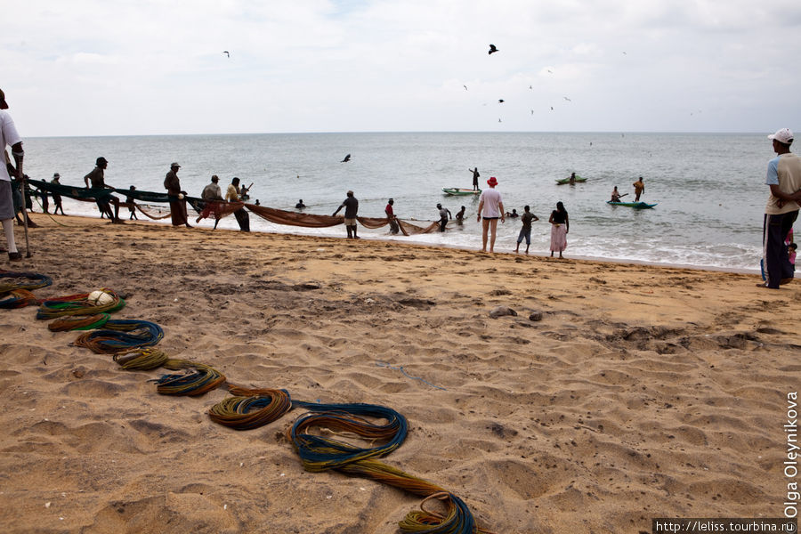 О рыболовстве на острове Цейлон (фоторепортаж) Маравилла, Шри-Ланка