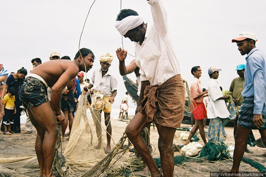 Рыбалка на Коваламе: тянем-потянем... Ковалам, Индия