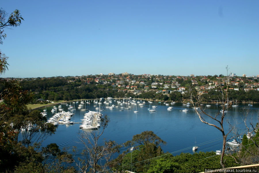 Вид на залив Сидней, Австралия