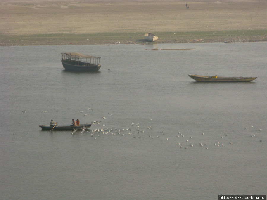 За лодками на Ганге летят стаи назойливых чаек. Но нас они, почему-то, не преследовали. Варанаси, Индия