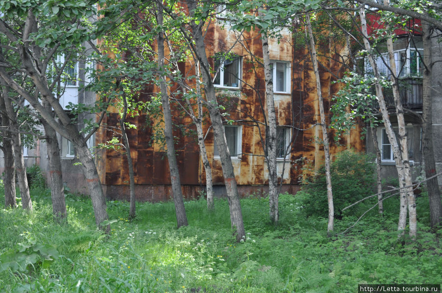 Перед окнами Елизово, Россия