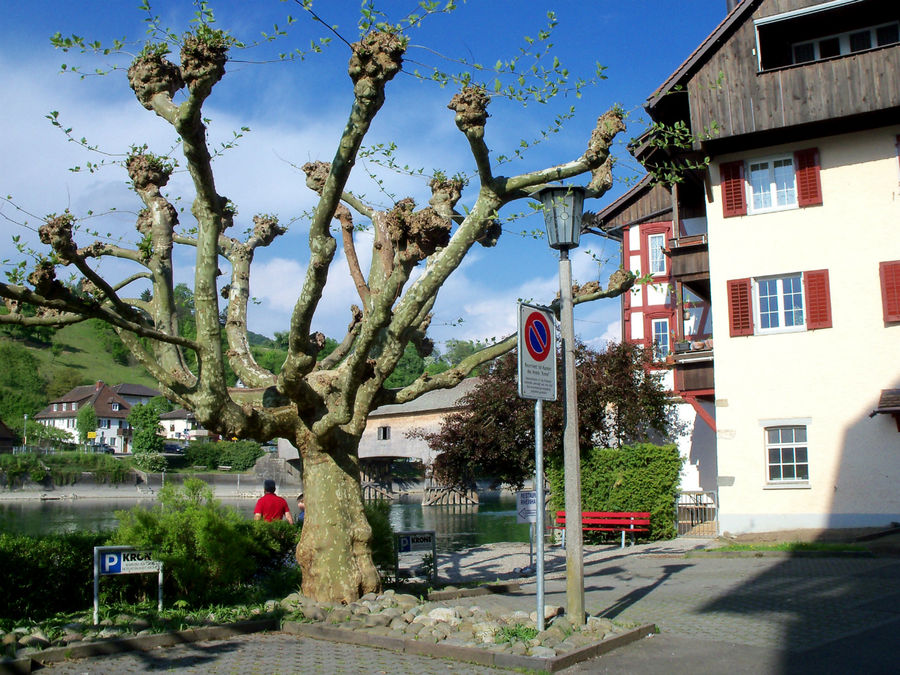 Diessenhofen (города Рейна) Диссенхофен, Швейцария