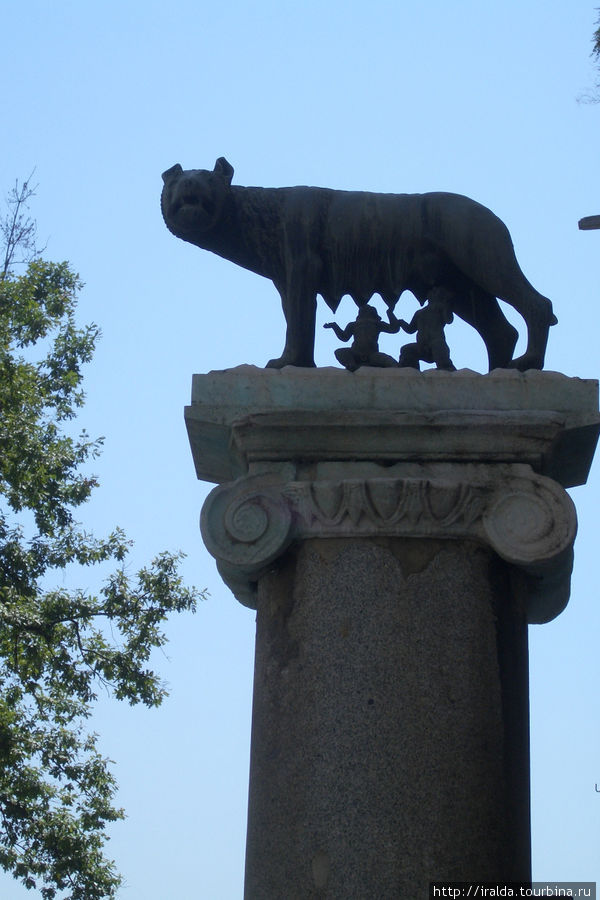 Памятник волчицы, вскармливающей двух близнецов Рим, Италия