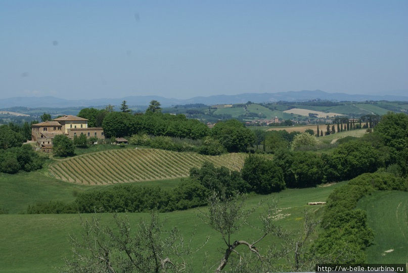 Тосканский landscaping в маках Тоскана, Италия