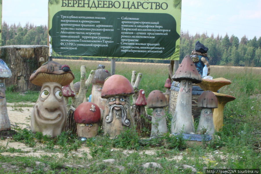грибница прямо Серпухов, Россия