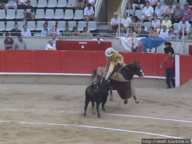Пикадор (исп. picador) — в корриде участник на лошади, который специальной пикой наносит удары в загривок боевого быка, чтобы ослабить мускулы его шеи и убедиться в его реакции на боль. Это также понижает агрессивность атаки. Барселона, Испания