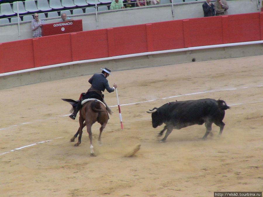 Конный матадор втыкает в холку быка бандерильи. Барселона, Испания
