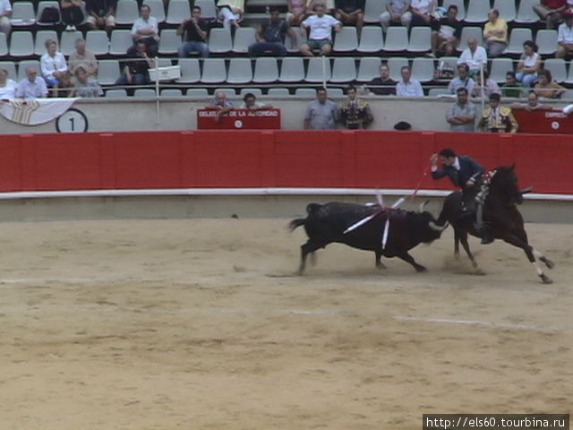 Бык пытается достать коня с наездником, а матадор, в угоду публике, держит коня как можно ближе к быку. И в этот момент.. Барселона, Испания