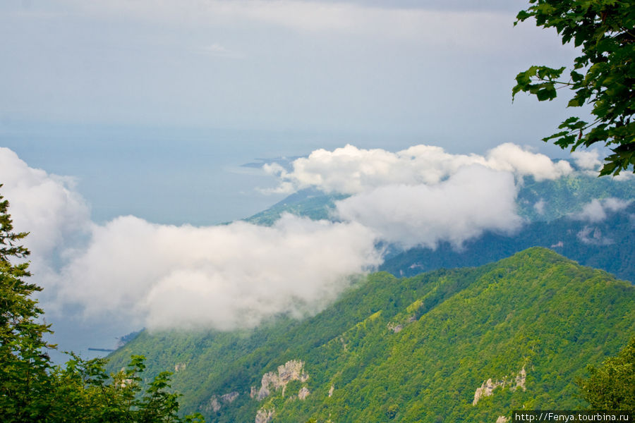 Альпийские луга Абхазия