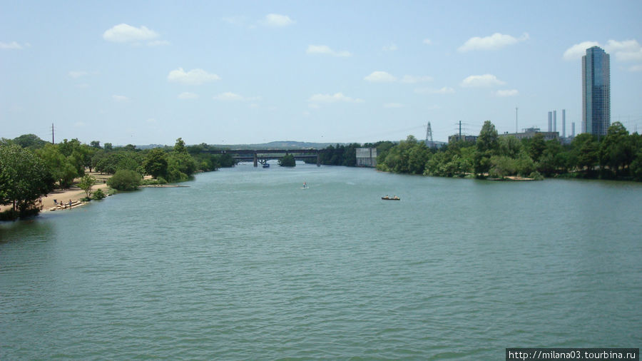 Вил с моста на озеро