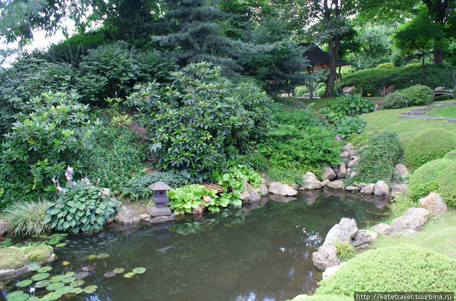 Пражский ботанический сад. Японский уголок Прага, Чехия