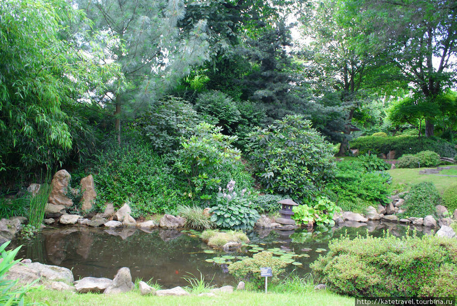 Пражский ботанический сад. Японский уголок Прага, Чехия