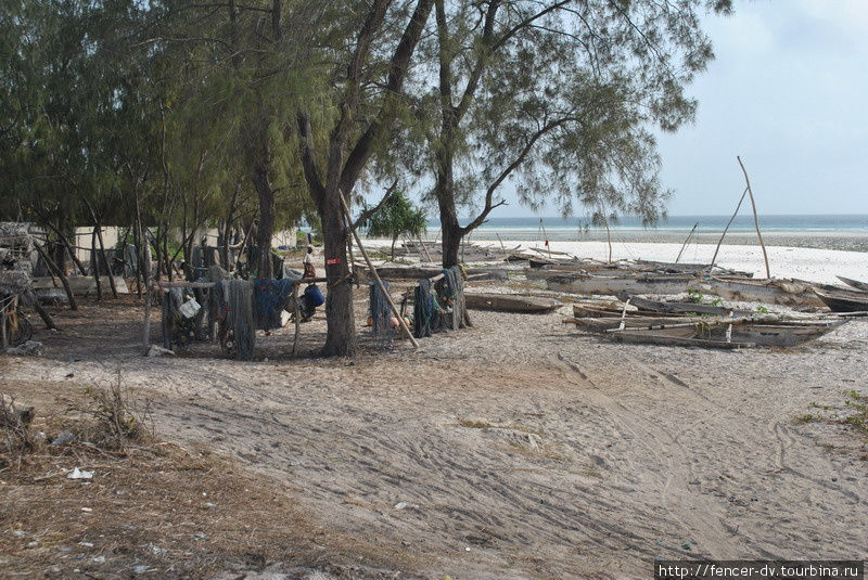Один день из жизни занзибарских рыбаков Остров Занзибар, Танзания