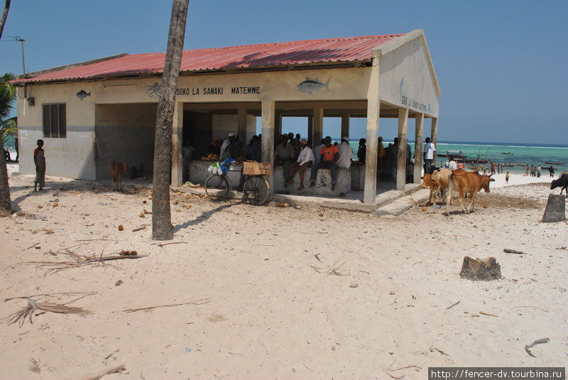 Открывается рыбный рынок Остров Занзибар, Танзания