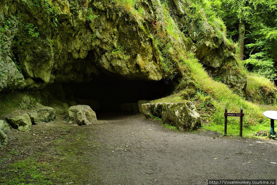 Барсучьи пещеры.