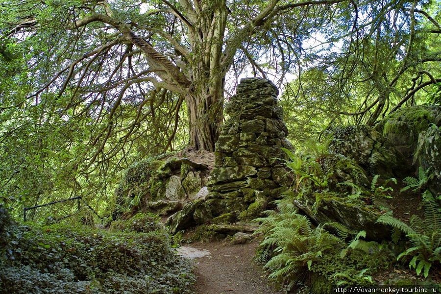 В саду Rock Close Блэрни, Ирландия В саду Rock Close Блэрни, Ирландия