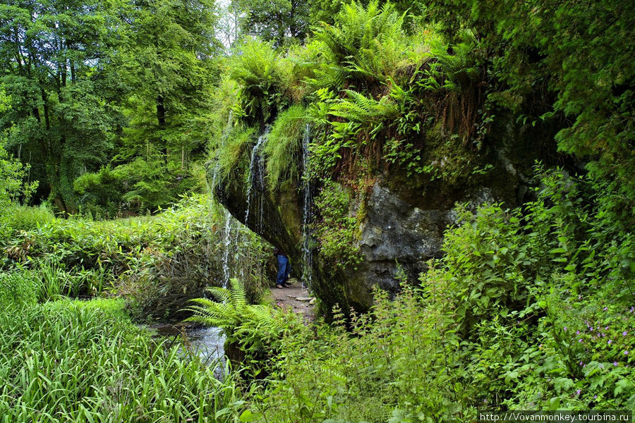 В саду Rock Close — ещё один водопадик Блэрни, Ирландия