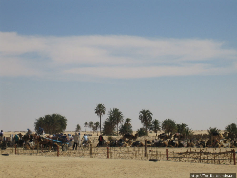 Дуз - на пороге Сахары. Дуз, Тунис