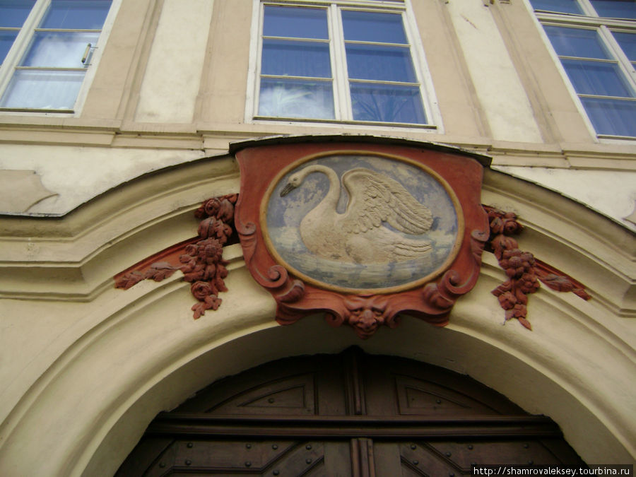 Лебедь Прага, Чехия