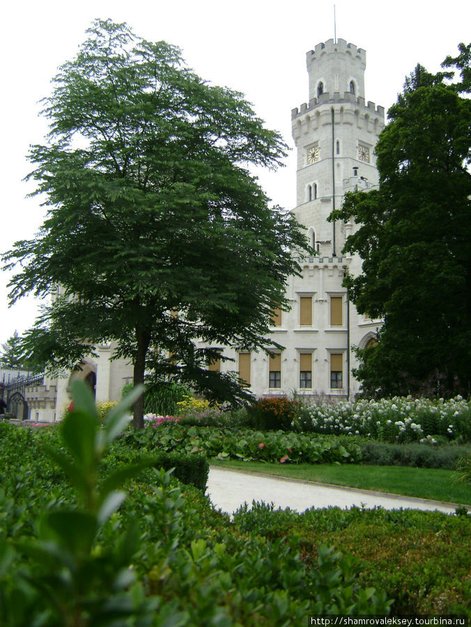 Замок в объективе фотоаппарата Глубока-над-Влтавой, Чехия