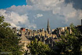 Наверно именно эти шпильки и башенки заставляют всех полюбить Эдинбург.