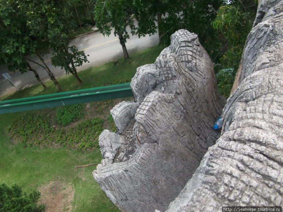 Клевые морды в зоопарке Чианг Мая Чиангмай, Таиланд