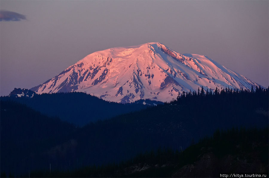 Закатный Адамс. Закатный Адамс.