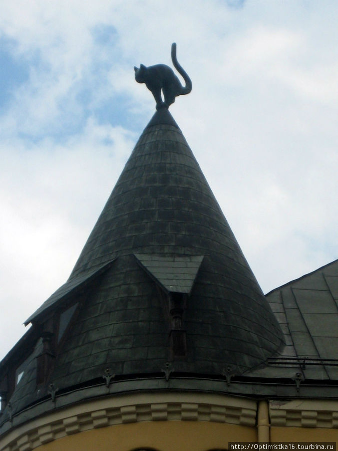Коты города Риги. Рига, Латвия Коты города Риги. Рига, Латвия
