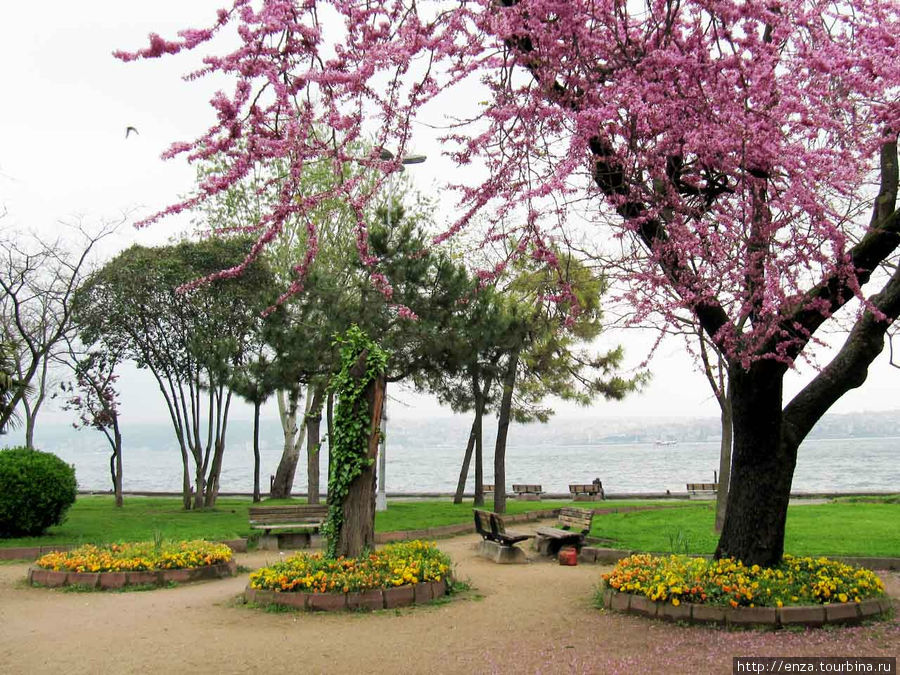 Парк Фындыклы Стамбул, Турция