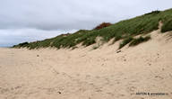 Пляж на Балтике. Но очень ветреный.