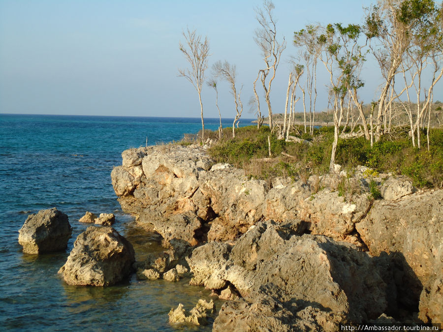 Сказочный остров - Куба Ольгин, Куба