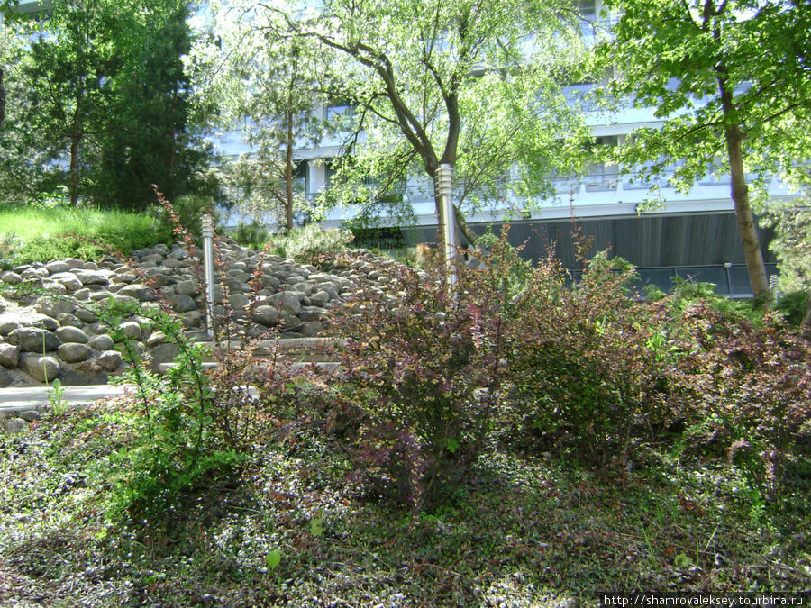 Юрмала в мае Юрмала, Латвия Юрмала в мае Юрмала, Латвия