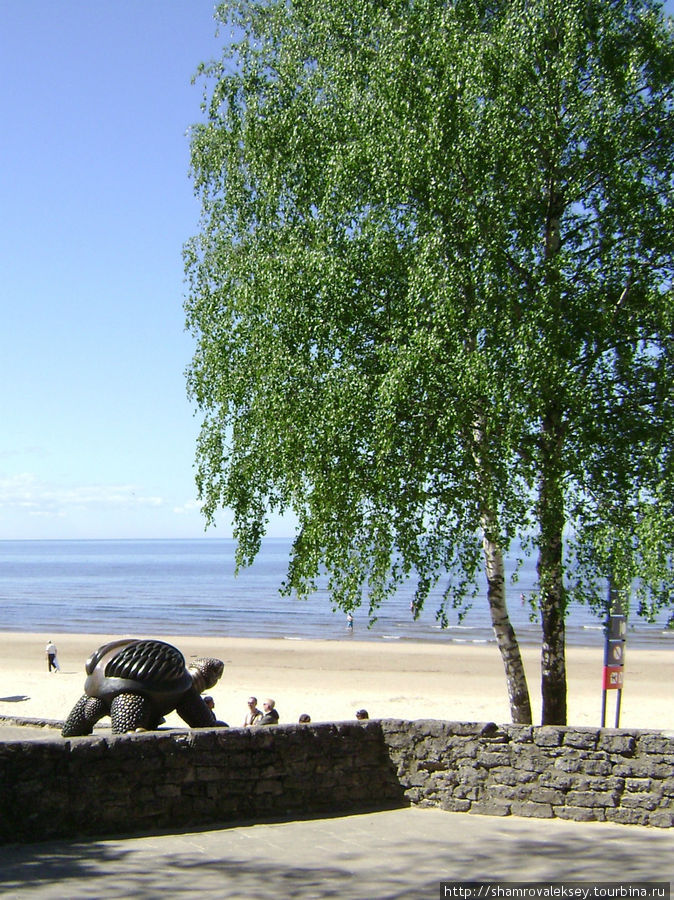 Скульптура черепахи приносящей удачу Юрмала, Латвия
