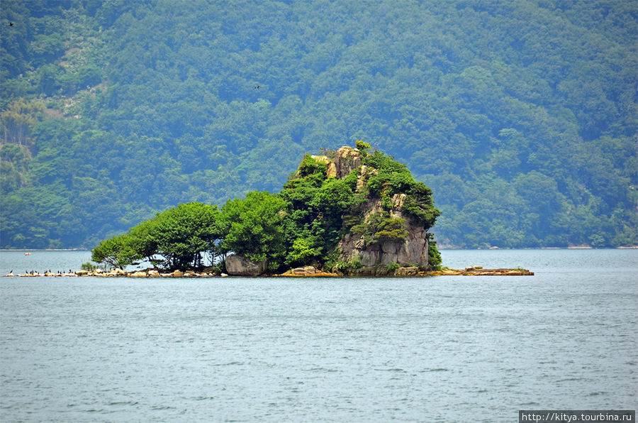 На острове Тикубудзима Нагахама, Япония