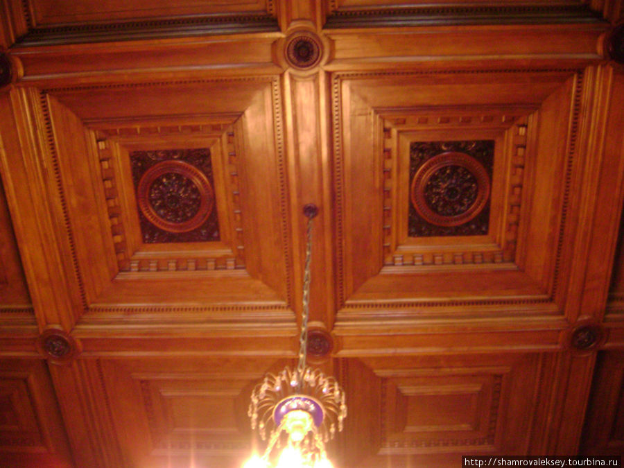 Панели потолка Дубового зала