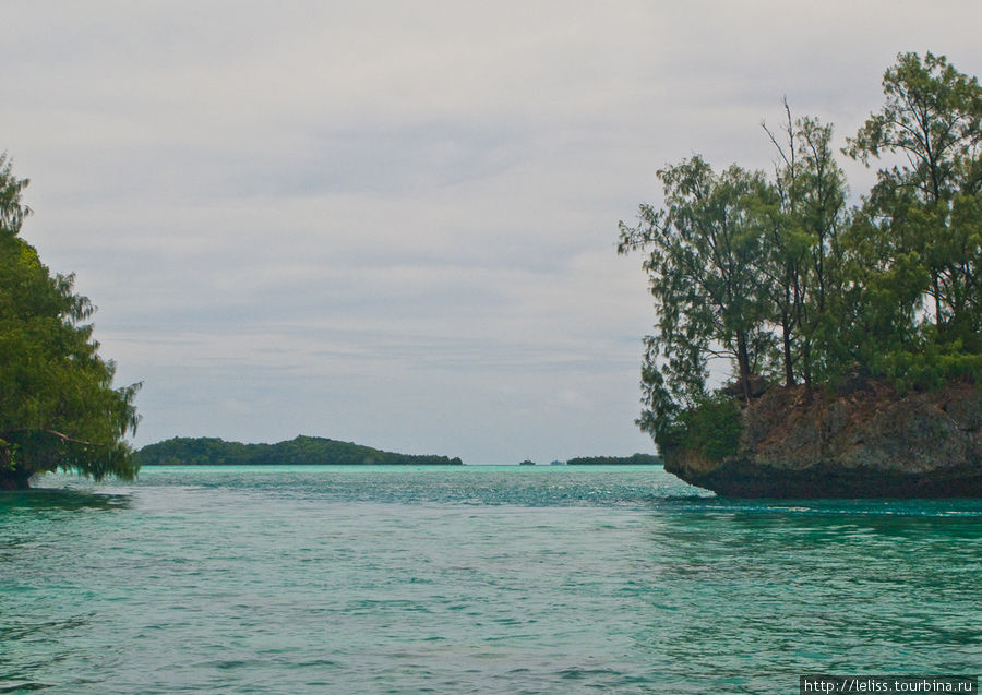 Концентрированная романтика островов Республики Палау