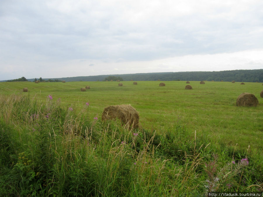 По дороге встречаются поля с аккуратно скрученными рулончиками соломы Подпорожье, Россия