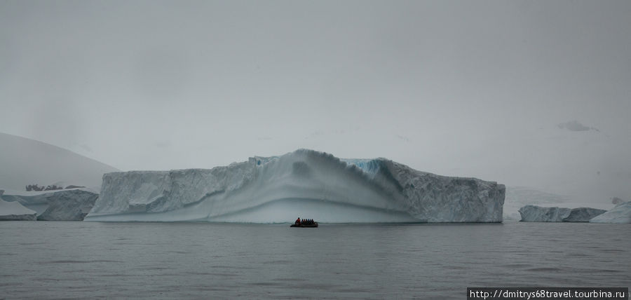 Антарктида, бухта Cierva. Бухта Сьерва, Антарктида