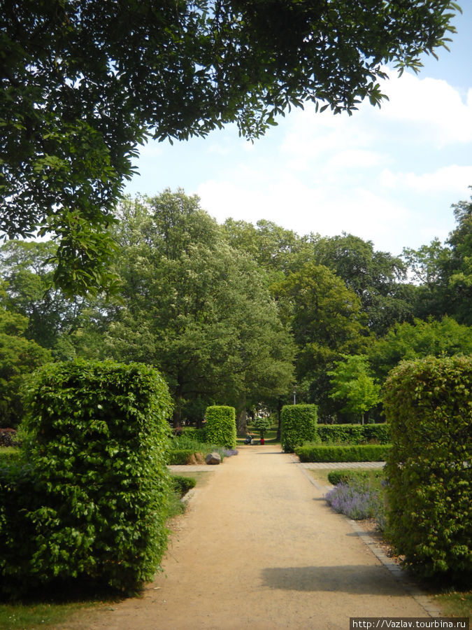 Дворцовый сад / Schlossgarten