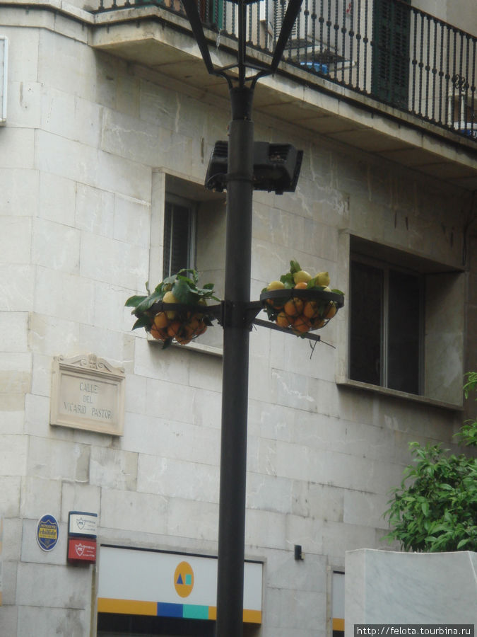 Дождь и лимоны Сольер, остров Майорка, Испания