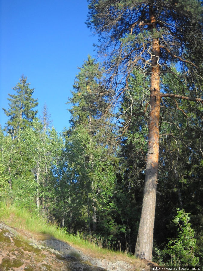 Косогор Иматра, Финляндия