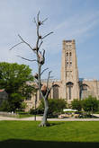 Дерево с булыжниками стоимостью в один миллион долларов перед бизнес-школой Chicago Booth